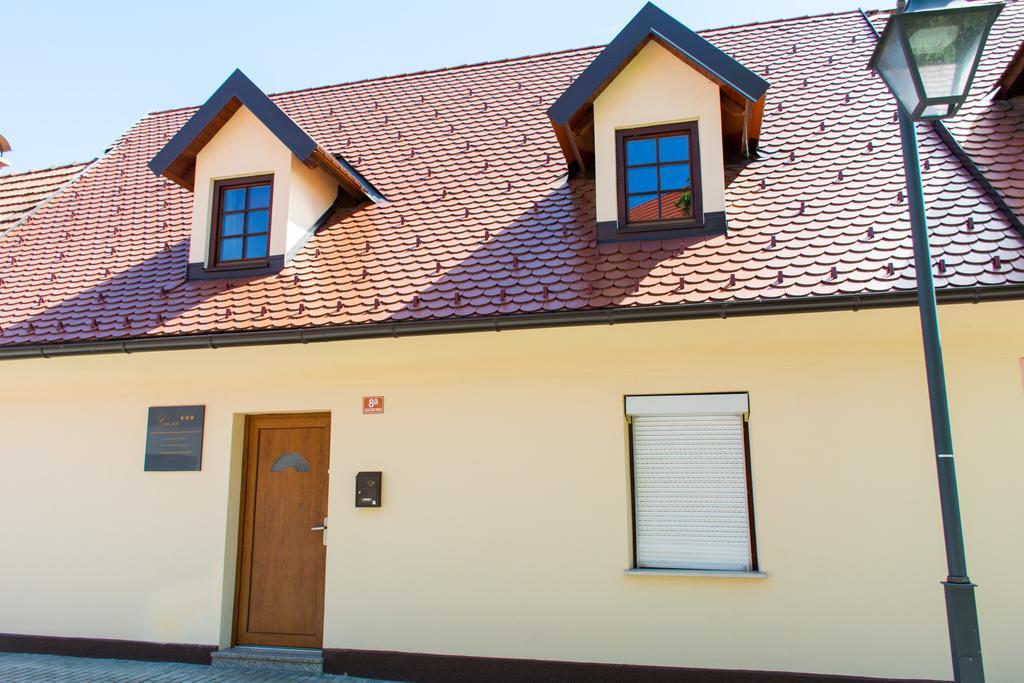 Apartment Gasa Брежице Экстерьер фото